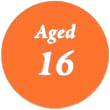 Learner Training information